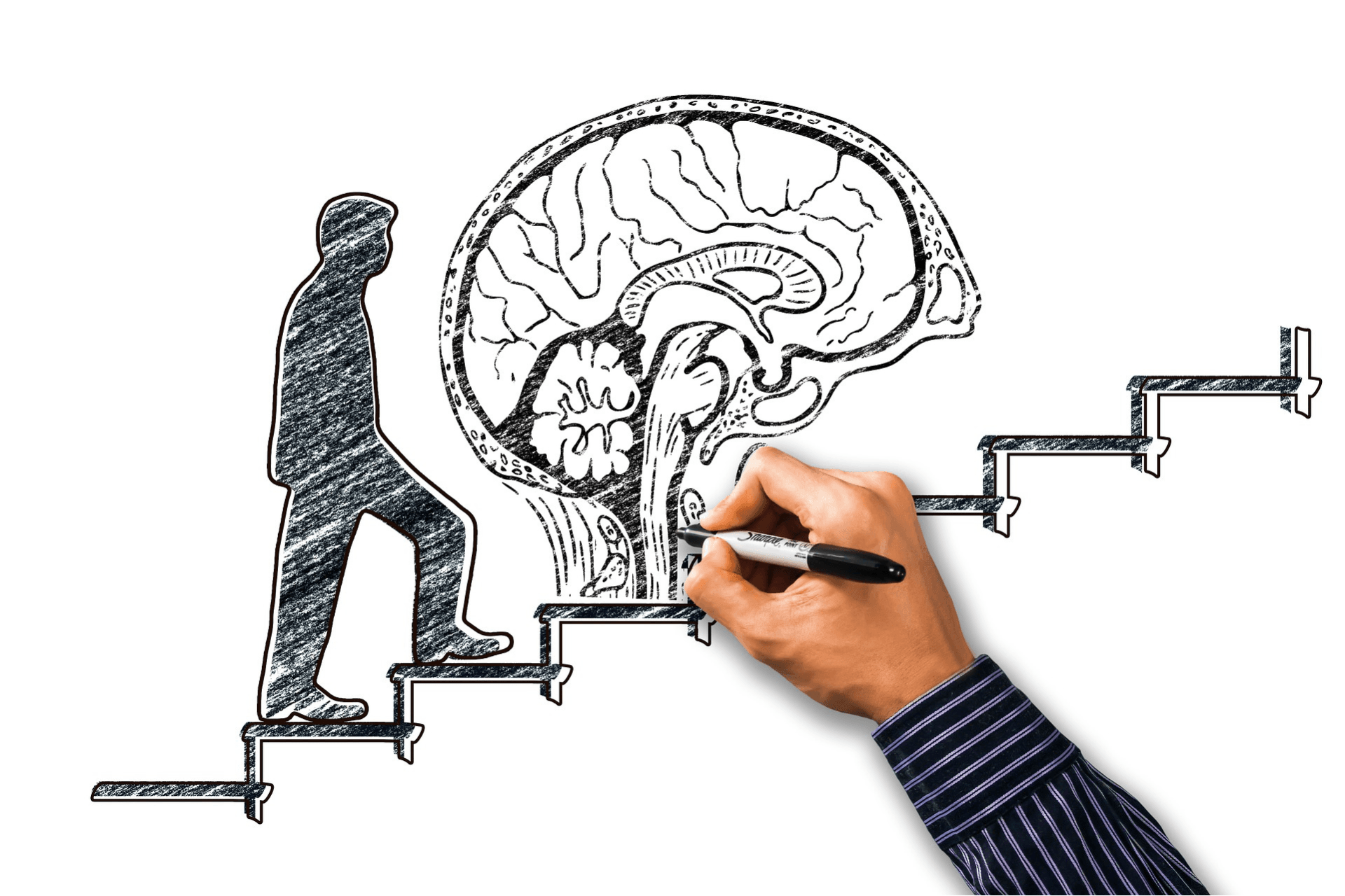 brain traning; sdconsultoria; consultoria.cv