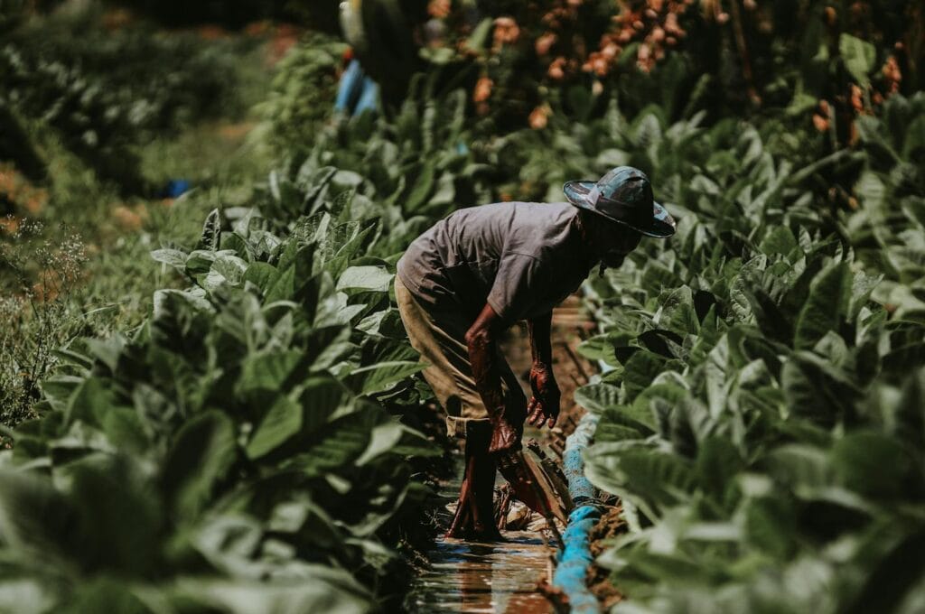 Environmental Management_consultoria.cv