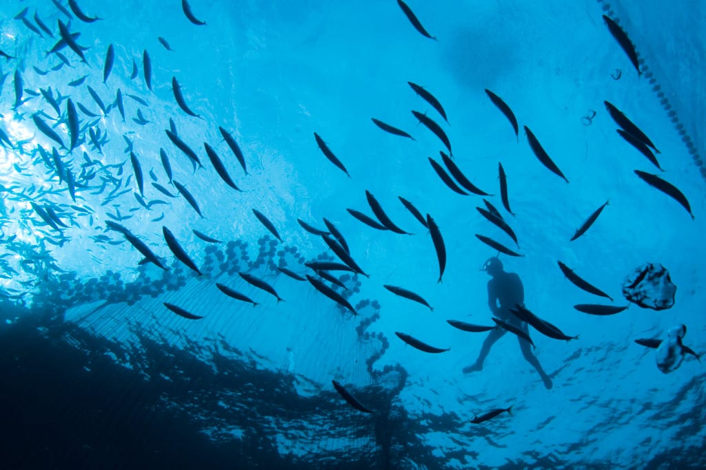 economia azul. cabo verde_connsultoria.cv