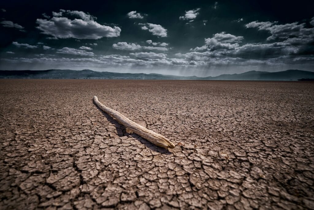 brown wood on brown sand under blue sky during daytime