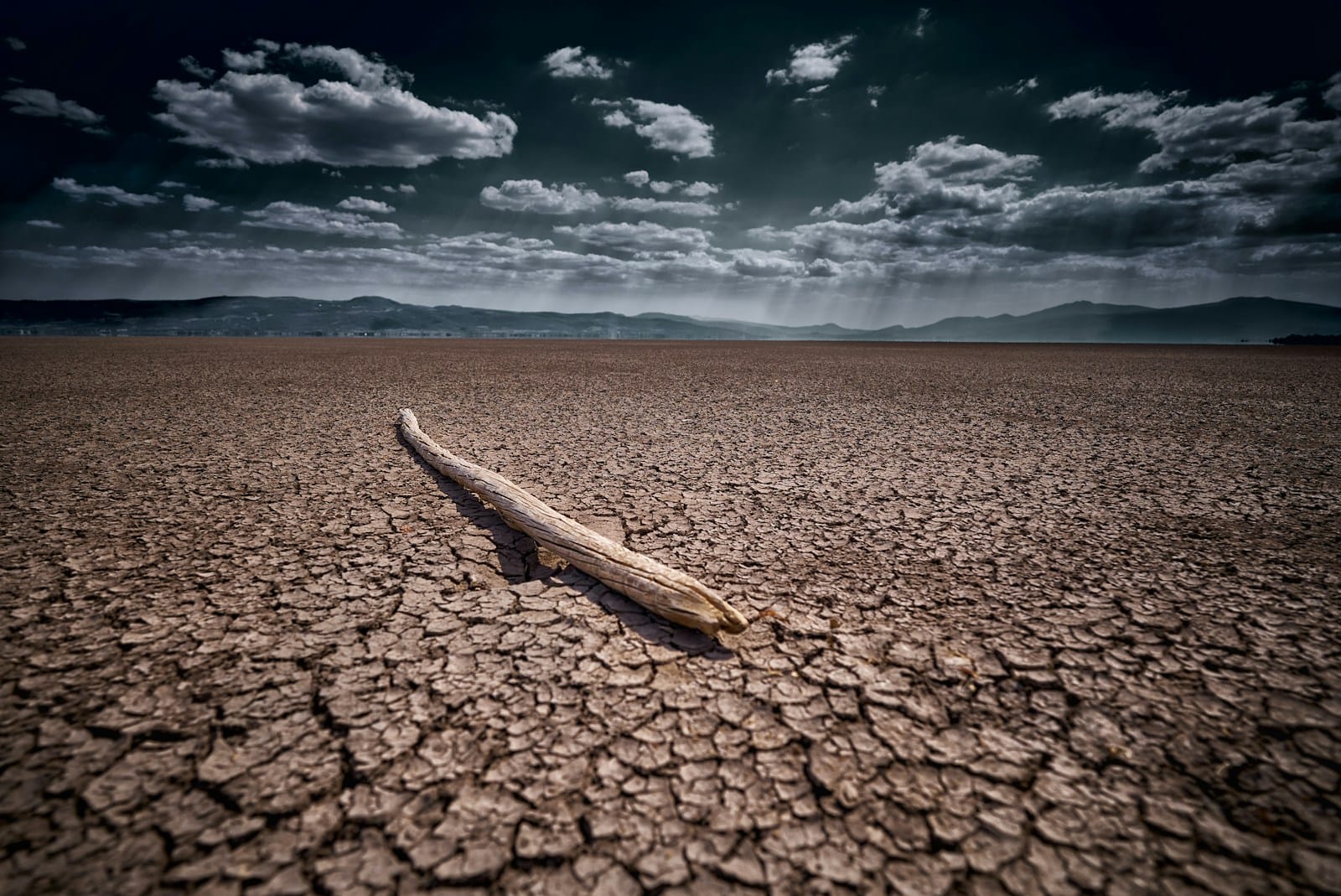 brown wood on brown sand under blue sky during daytime